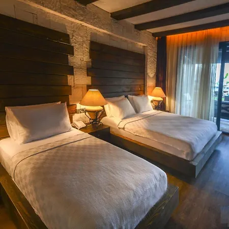 ホテル Manaspark Deluxe