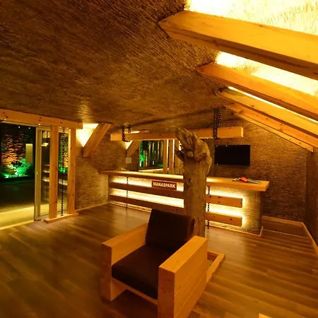 Manaspark Deluxe Hotel 4*
