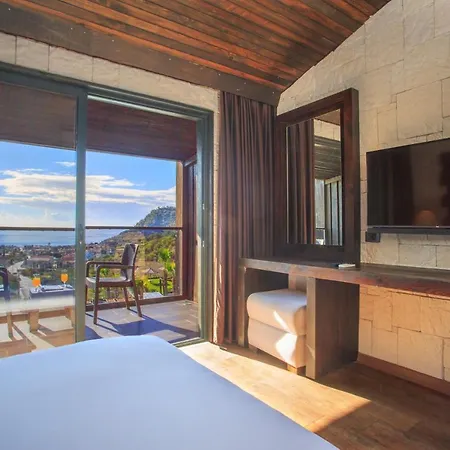 ホテル Manaspark Deluxe オルデニズ