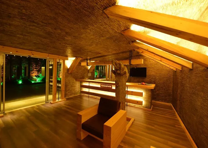 Manaspark Deluxe Hotel 4*