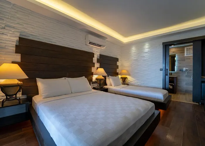 Hotel Manaspark Deluxe 4*