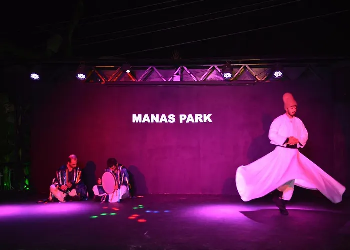 Hotel Manaspark Deluxe