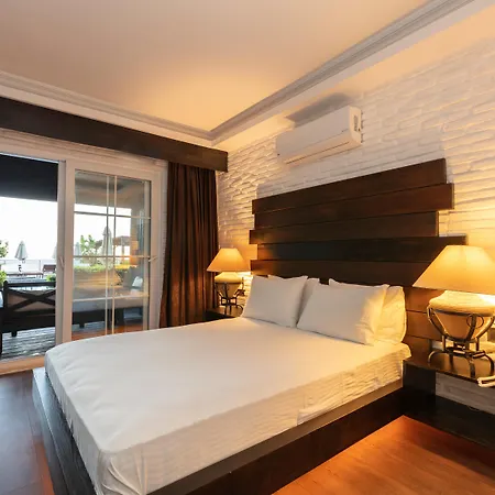 Manaspark Deluxe 4*