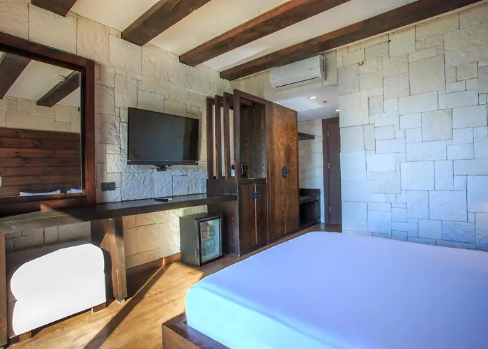 Otel Manaspark Deluxe